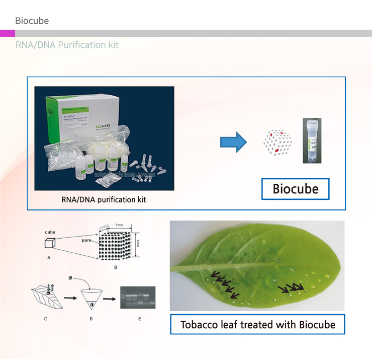 Biocube plant DNA extract